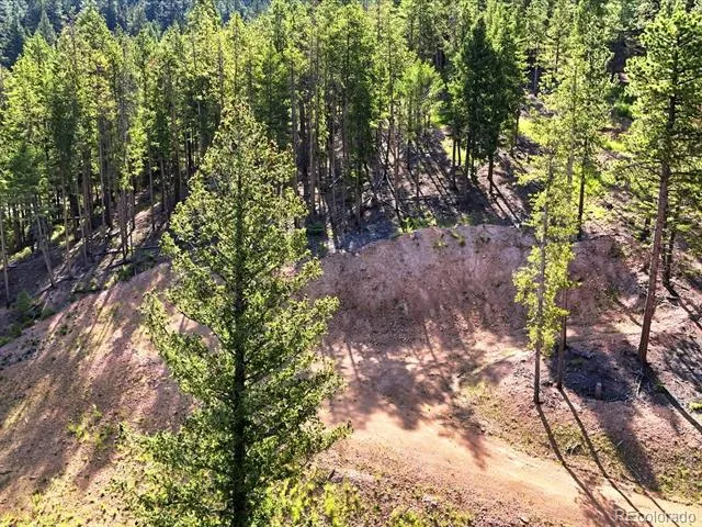 6824 Lynx Lair Road Evergreen, CO 80439