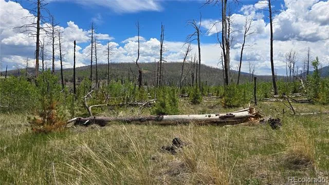 Lot 1617 Kopf Lane Fort Garland, CO 81133