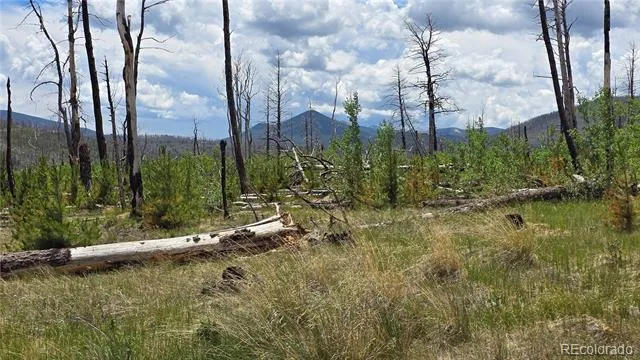 Lot 1617 Kopf Lane Fort Garland, CO 81133