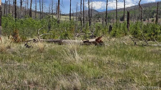 Lot 1617 Kopf Lane Fort Garland, CO 81133