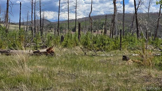Lot 1617 Kopf Lane Fort Garland, CO 81133