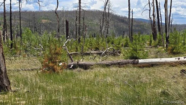 Lot 1617 Kopf Lane Fort Garland, CO 81133