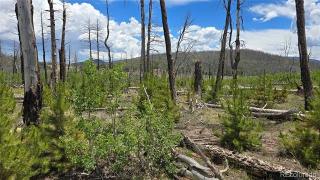 Lot 1617 Kopf Lane Fort Garland, CO 81133