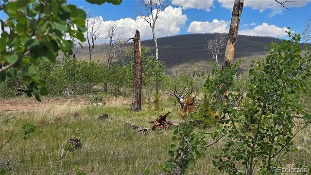 Lot 1617 Kopf Lane Fort Garland, CO 81133
