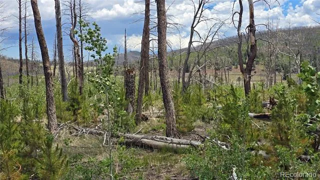 Lot 1617 Kopf Lane Fort Garland, CO 81133