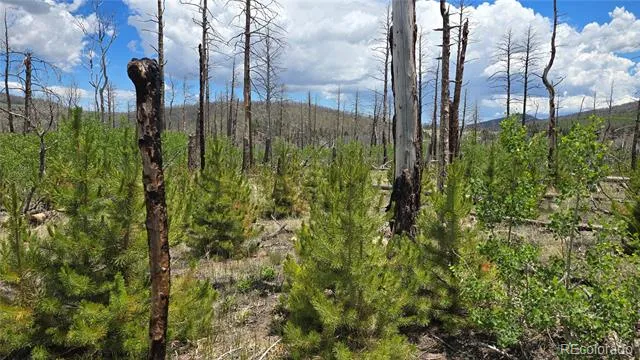 Lot 1617 Kopf Lane Fort Garland, CO 81133