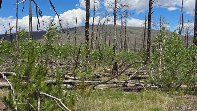 Lot 1617 Kopf Lane Fort Garland, CO 81133