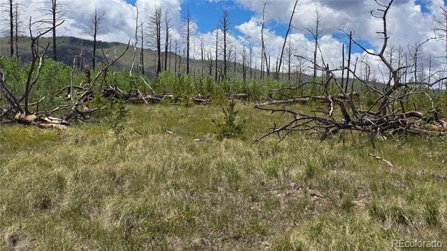 Lot 1617 Kopf Lane Fort Garland, CO 81133