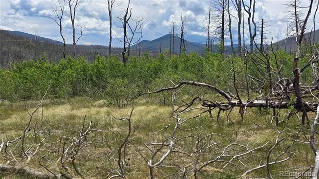 Lot 1617 Kopf Lane Fort Garland, CO 81133
