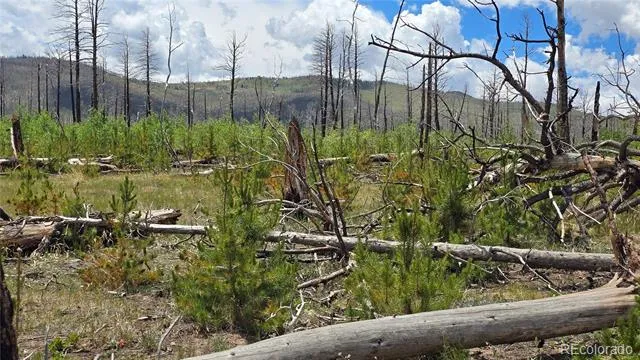 Lot 1617 Kopf Lane Fort Garland, CO 81133