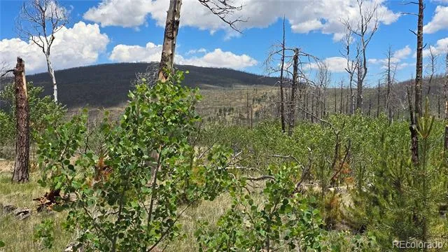 Lot 1617 Kopf Lane Fort Garland, CO 81133