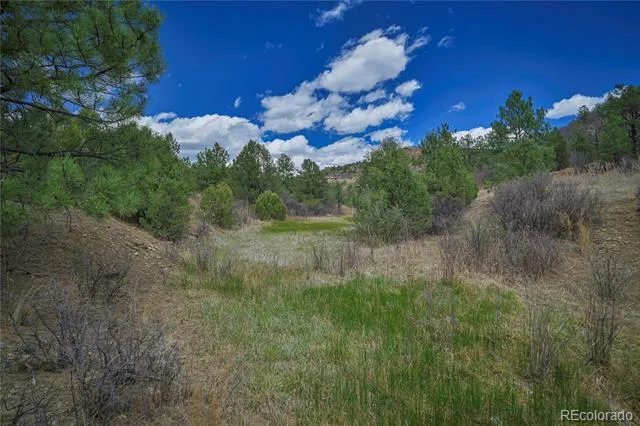 Address Not Shown Weston, CO 81091