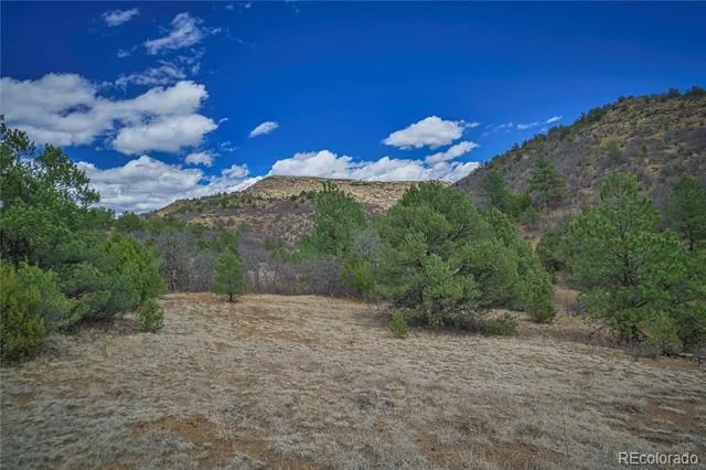 Address Not Shown Weston, CO 81091