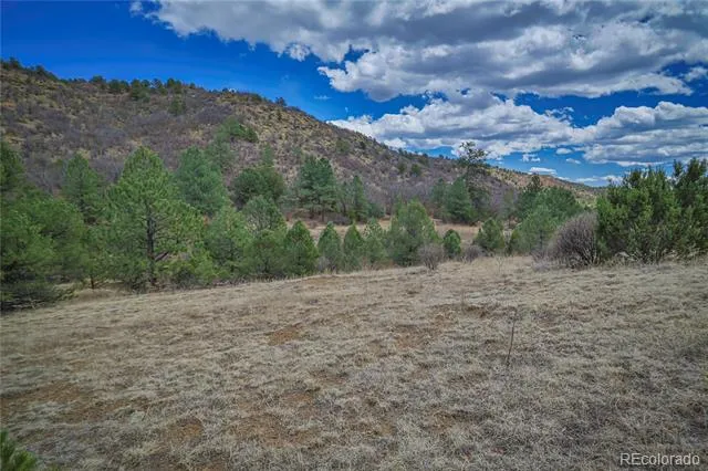 Address Not Shown Weston, CO 81091