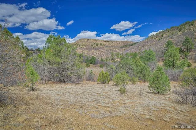 Address Not Shown Weston, CO 81091