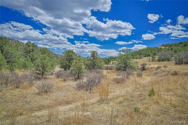 Address Not Shown Weston, CO 81091