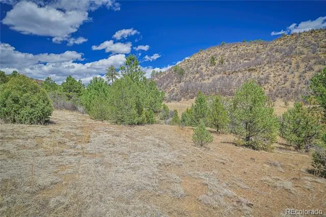 Address Not Shown Weston, CO 81091