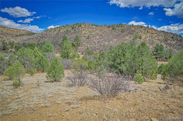Address Not Shown Weston, CO 81091