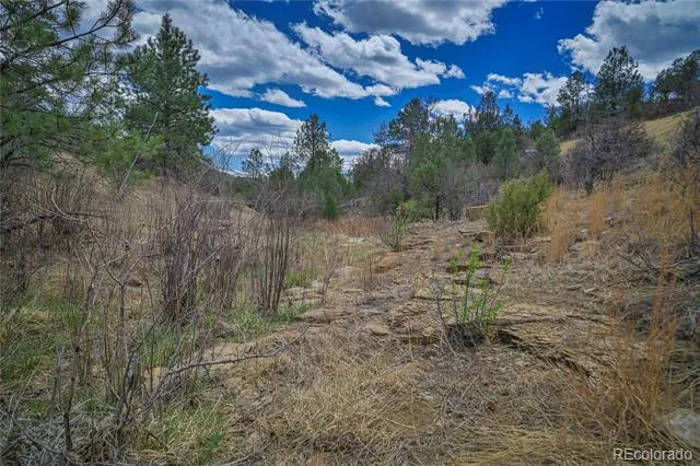 Address Not Shown Weston, CO 81091