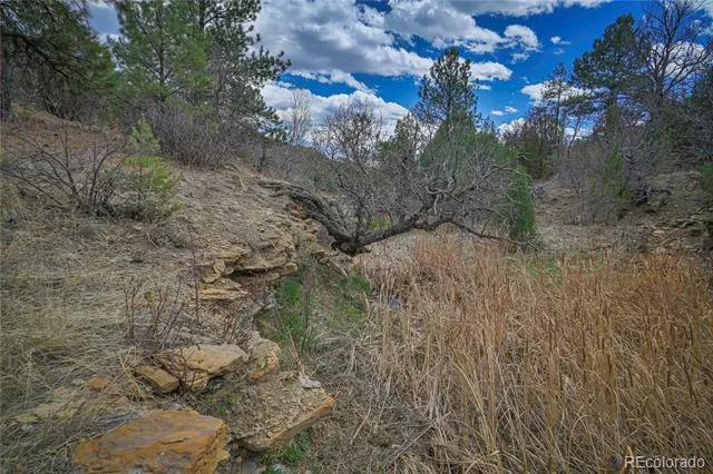 Address Not Shown Weston, CO 81091