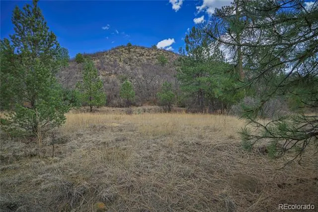 Address Not Shown Weston, CO 81091