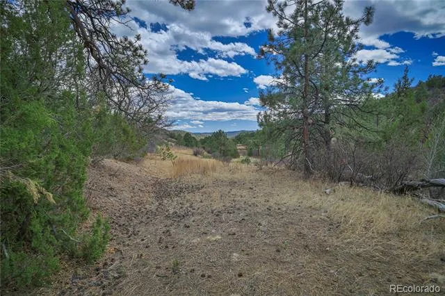 Address Not Shown Weston, CO 81091