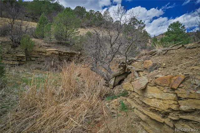Address Not Shown Weston, CO 81091