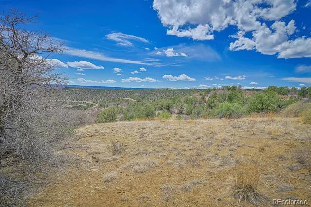 Address Not Shown Weston, CO 81091
