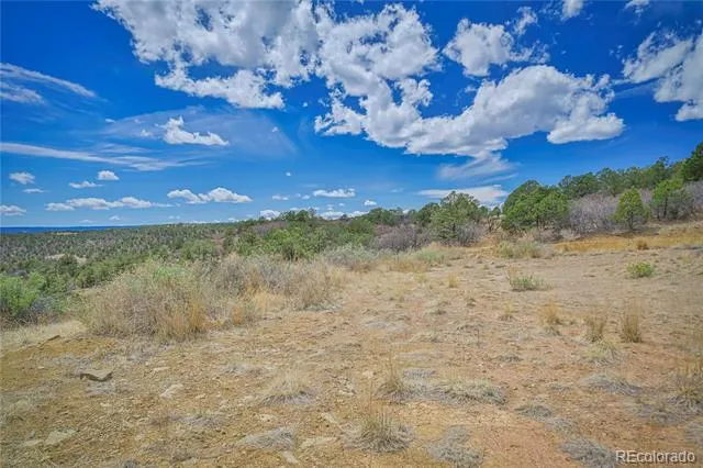 Address Not Shown Weston, CO 81091