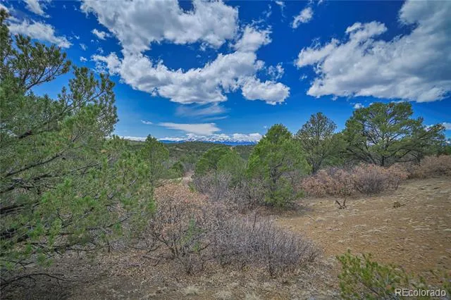 Address Not Shown Weston, CO 81091