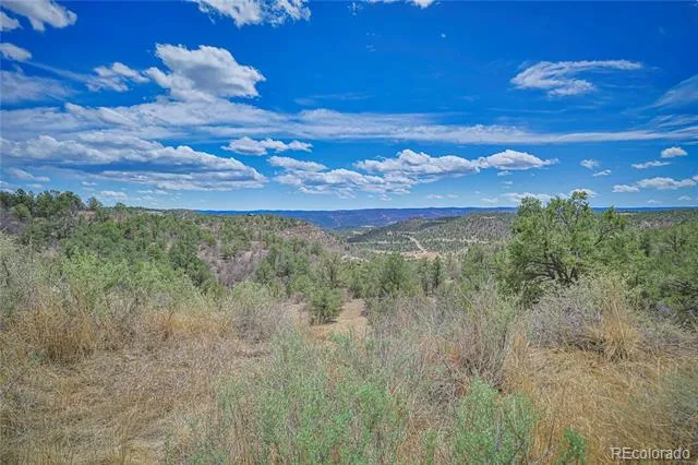 Address Not Shown Weston, CO 81091