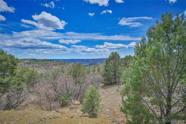 Address Not Shown Weston, CO 81091