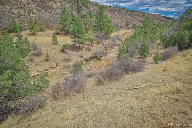 Address Not Shown Weston, CO 81091