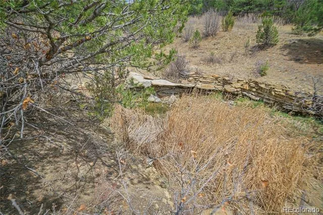 Address Not Shown Weston, CO 81091