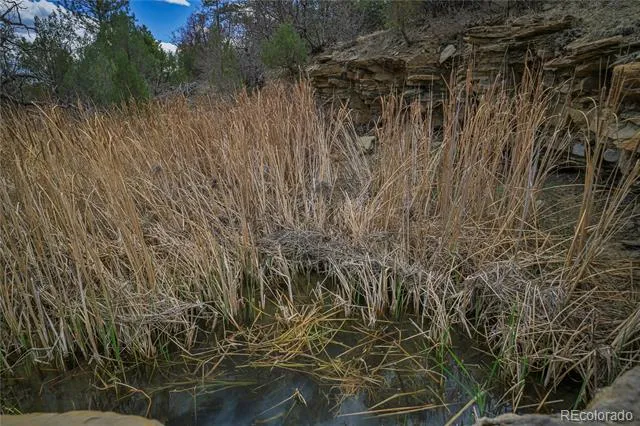 Address Not Shown Weston, CO 81091