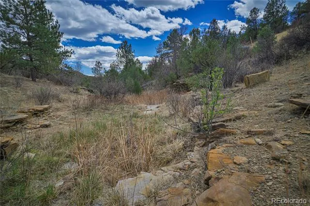 Address Not Shown Weston, CO 81091