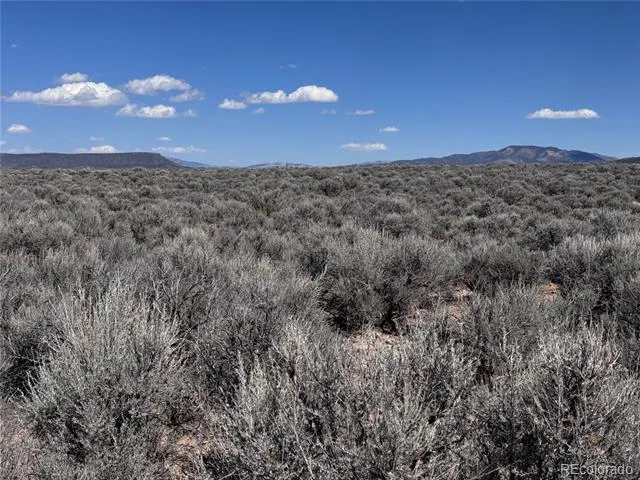 S 90 County Road 19.5 Fort Garland, CO 81133