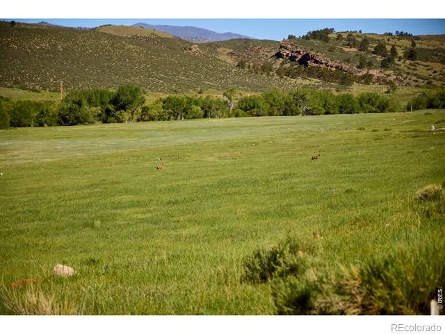10339 Buckhorn Ridge Way Loveland, CO 80538