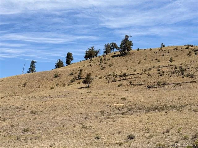 Hardwood Loop Hartsel, CO 80449