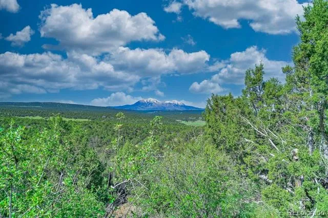 324 Chaps Court Walsenburg, CO 81089