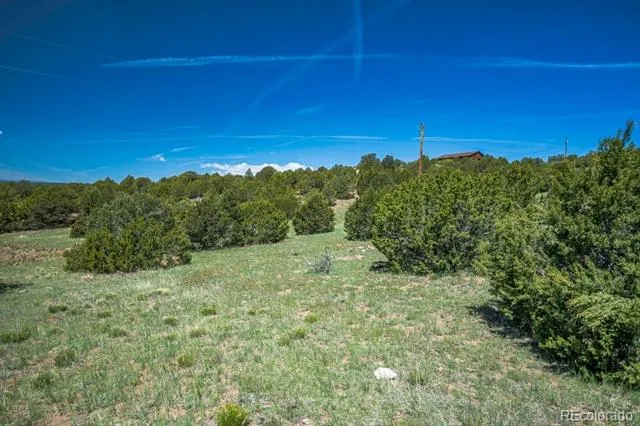 324 Chaps Court Walsenburg, CO 81089
