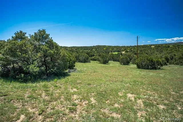 324 Chaps Court Walsenburg, CO 81089