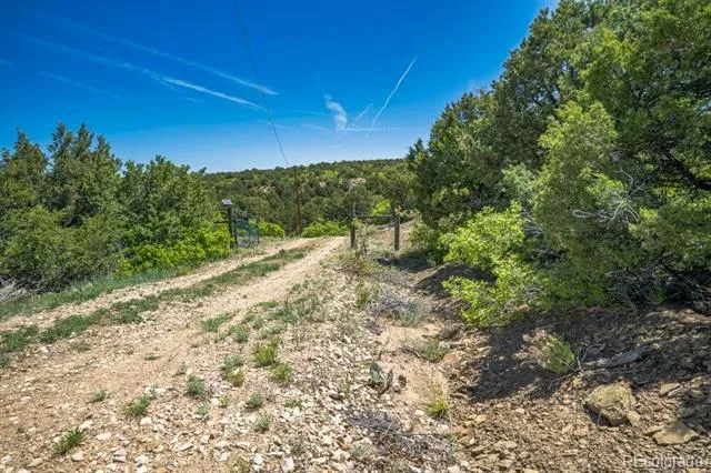 324 Chaps Court Walsenburg, CO 81089