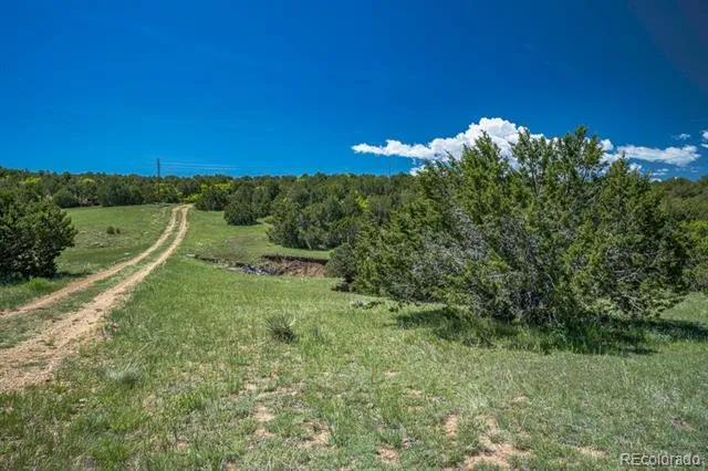 324 Chaps Court Walsenburg, CO 81089