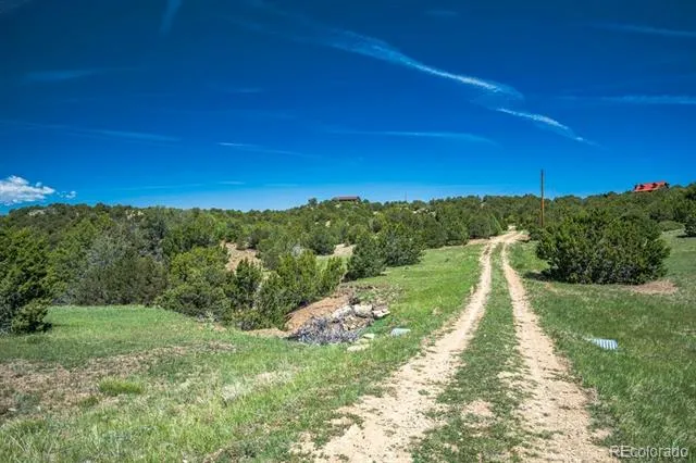 324 Chaps Court Walsenburg, CO 81089