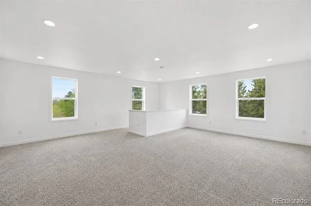 1625 Mountain Estates Road Florissant, CO 80816