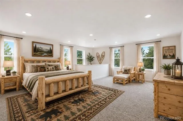 1625 Mountain Estates Road Florissant, CO 80816