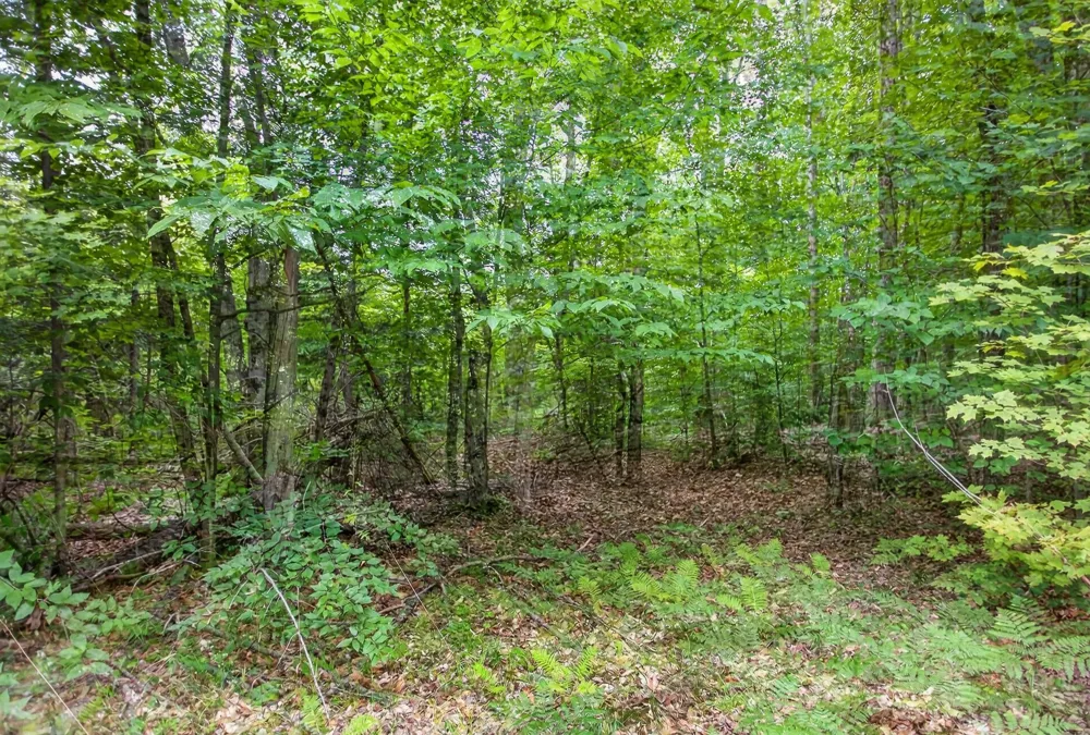 4610 Northwood Lane Coldsprings Township, MI 49646