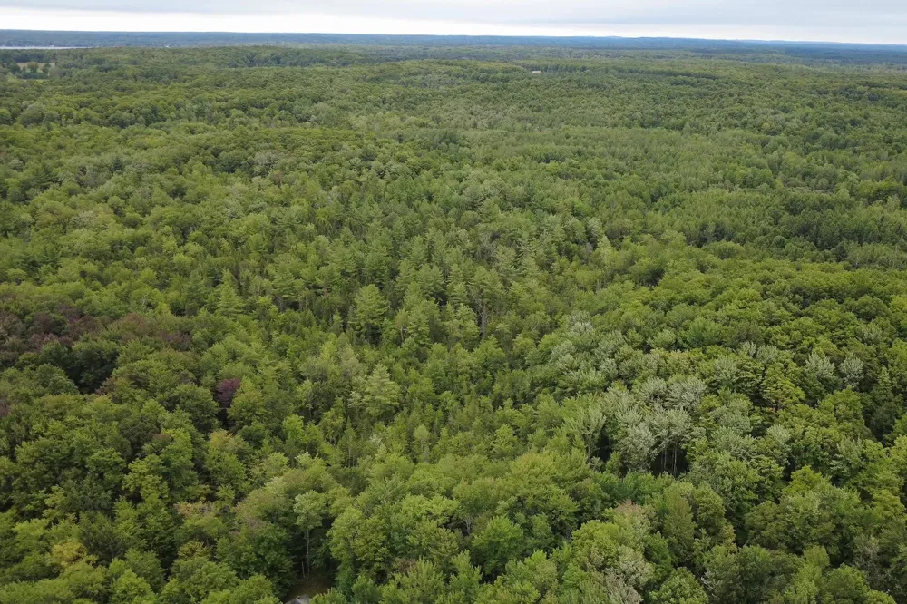 4610 Northwood Lane Coldsprings Township, MI 49646
