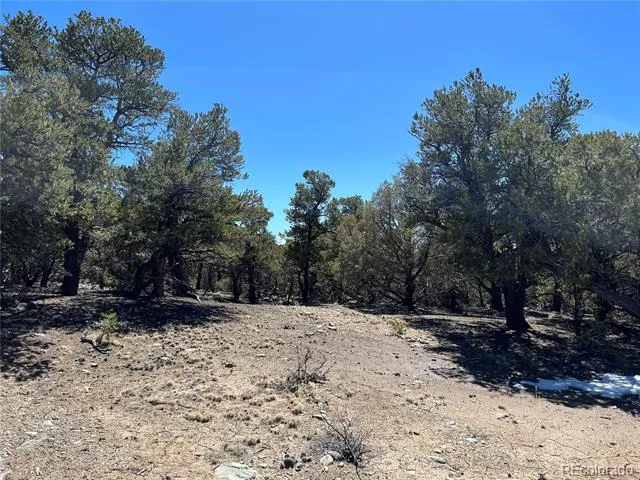 4219 Al Fresco Way Crestone, CO 81131